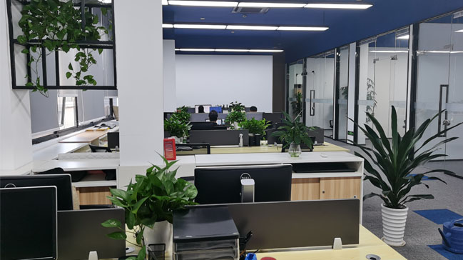 办公室绿植员工区摆放